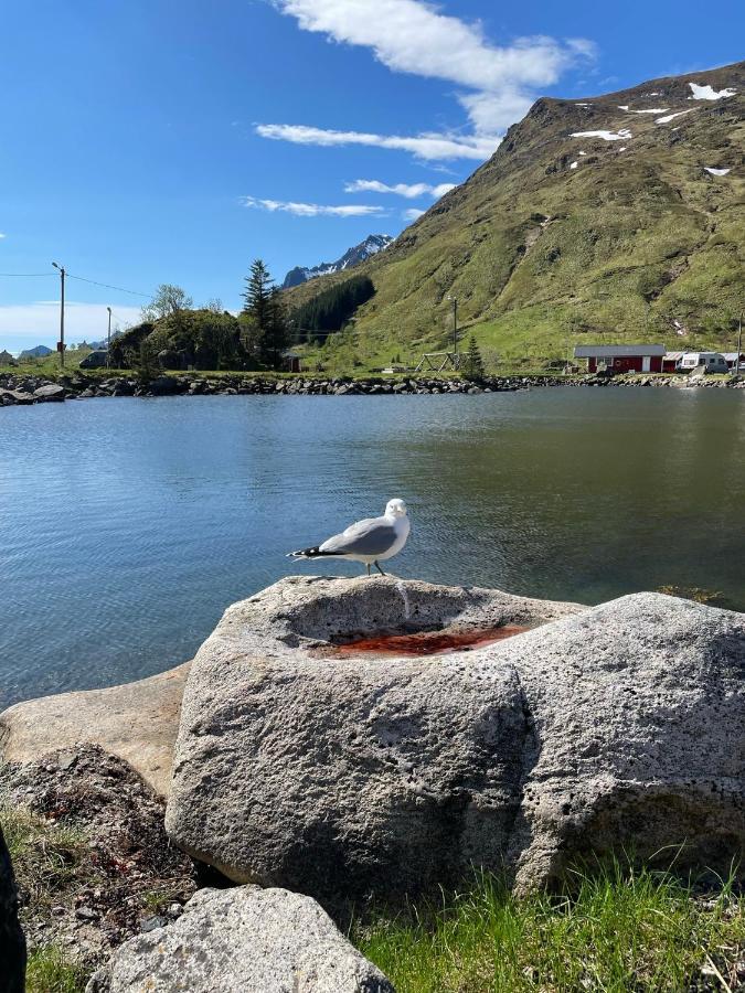 Brustranda Fjordcamping Valberg Zewnętrze zdjęcie